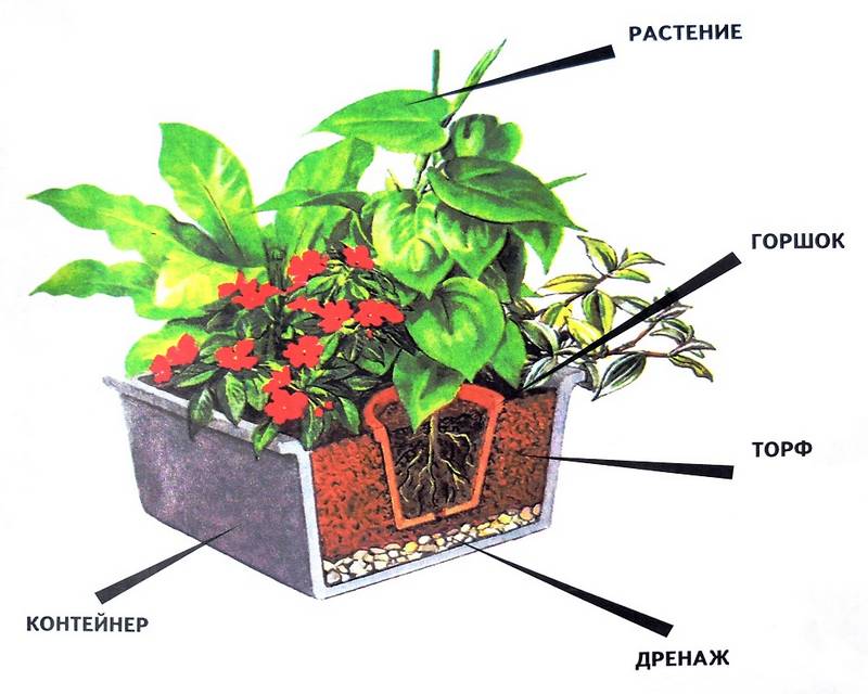 Дренаж для комнатных растений